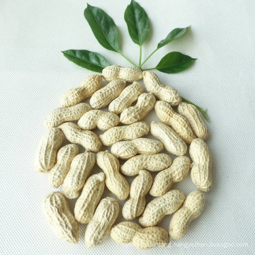 Chinese Wholesale Peanuts In Shell